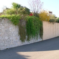 Casa Unifamiliare Cascine di Buti (PI)